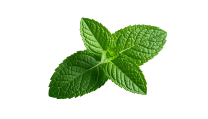 Close-up of vibrant green mint leaves on a black background, showcasing texture