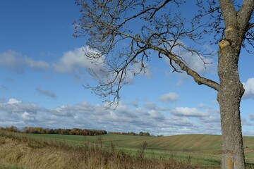Autumn landscape in the Nesterovsky district of the Kaliningrad region