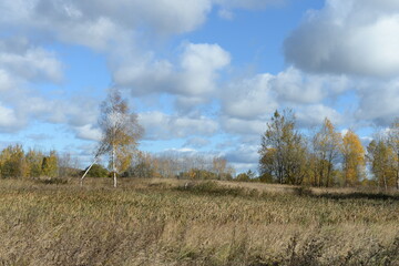 Obraz premium Autumn landscape in the Nesterovsky district of the Kaliningrad region