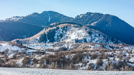 winter landscape with mountains