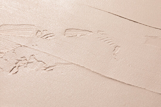 Textured Wall Surface With Subtle Details in Warm Neutral Tones