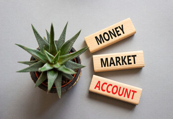 Money Market Account symbol. Wooden blocks with words Money Market Account. Beautiful grey background with succulent plant. Business concept. Copy space.
