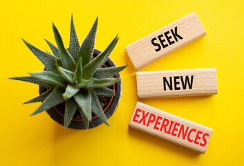 New Experiences symbol. Wooden blocks with words Seek New Experiences. Beautiful yellow background with succulent. Business and New Experiences concept. Copy space.