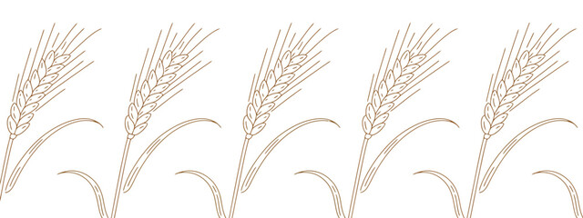 Elegant vector abstract golden wheat harvest pattern with ornate border, decorative design element