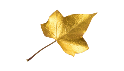 A single golden leaf on a black background, with visible veins and intricate detail