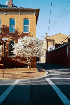 Signs of Spring