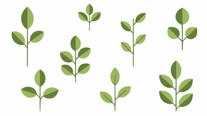 Collection of Green Plant Stems with Leaves Isolated on White Background. © Mawan