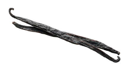Dried vanilla beans a premium ingredient for baking, cooking, and flavoring desserts with sweet aroma