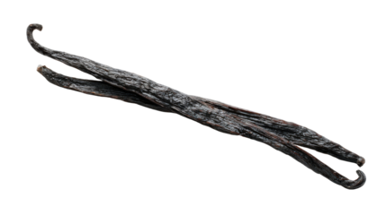 Dried vanilla beans a premium ingredient for baking, cooking, and flavoring desserts with sweet aroma
