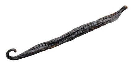 Vanilla pod showing dark brown texture, a popular sweet ingredient for baking and dessert flavoring, transparent background