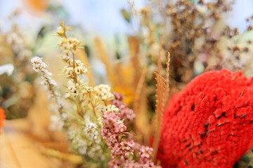 Colorful Dried Flower Arrangement for Interior Decoration