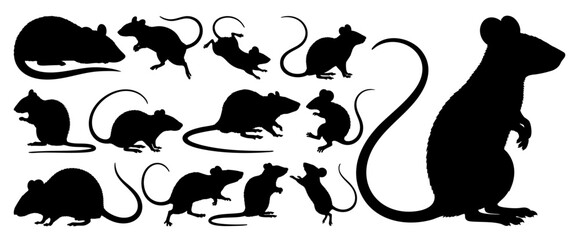 Mouse and Rat Silhouettes Collection in Various Poses on Transparent Background