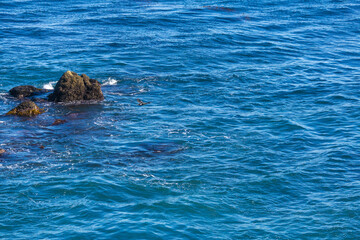 Naklejka premium Black cormorant flying low over deep blue ocean water near rocks