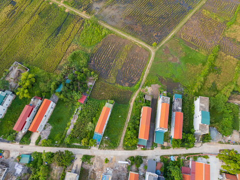 Narrow houses along a rural road through green farmland