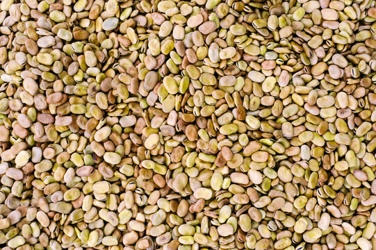 Film photo of broad beans in Mexico