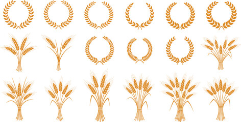 Wheat or barley ears. Harvest wheat grain, growth rice stalk and bread grains isolated vector set. Harvest wheat grain, growth rice stalk and whole bread grains. Agriculture. Transparent EPS version.