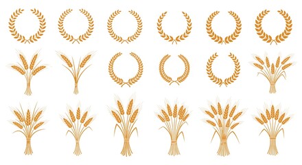 Wheat or barley ears. Harvest wheat grain, growth rice stalk and bread grains isolated vector set. Harvest wheat grain, growth rice stalk and whole bread grains. Agriculture. JPEG version.
