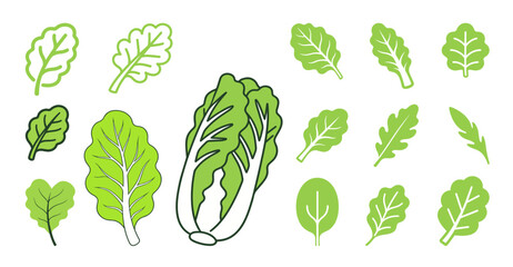 Vegetable leaves graphic collection with simple flat leaf icons and transparent background elements for food packaging and healthy lifestyle design