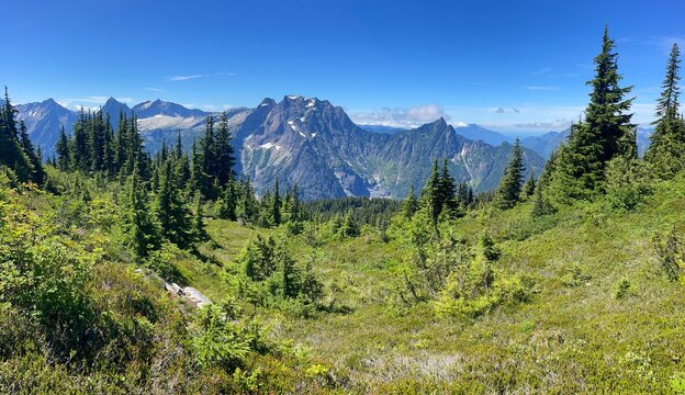 View of the Cascade Range and alpine meadow in summer