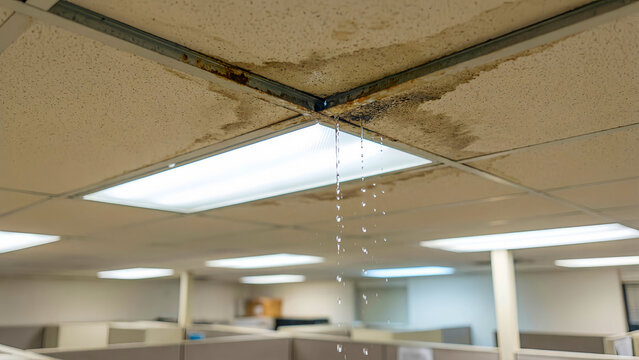 Dripping water from a stained office ceiling tile near a fluorescent light fixture highlights serious maintenance issues inside commercial workspaces.