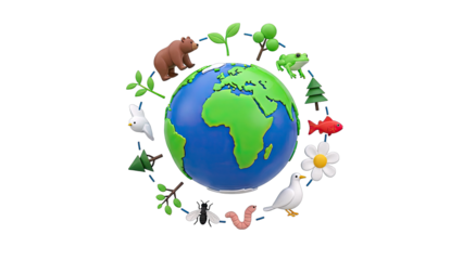 Diverse Ecosystems Surrounding the Earth