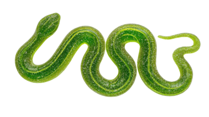 Green gummy snake candy covered in sugar, sweet fruit flavored jelly treat for kids, transparent background