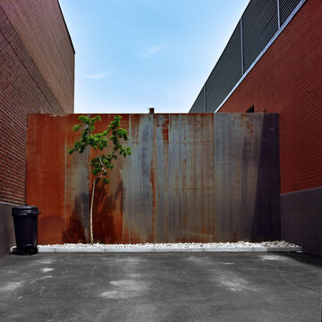 Minimal brutalist driveway with a tree