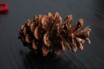Close-up photo of Dried pine cone isolated on black dark wooden table background. Empty blank copy text space. Concept for christmas decoration ornament.