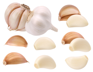 fresh whole garlic bulbs and cloves, isolated on transparent background, a versatile ingredient for culinary uses, presented in a clean studio shot.
