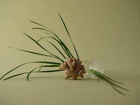 Ginger root with green leaves and a glass on a soft green background