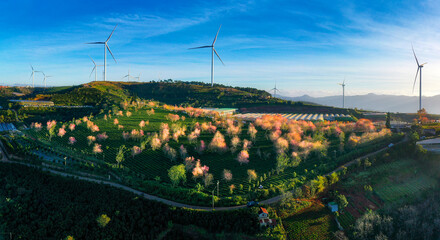 dutch windmill in spring