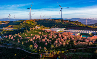 dutch windmill in spring