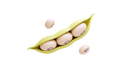 Soybean Pod with Beans