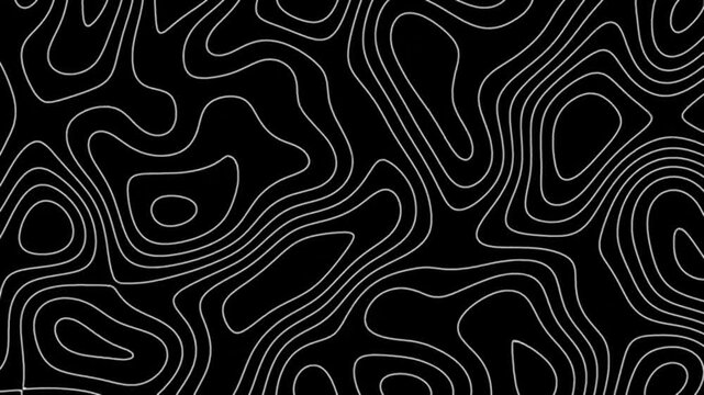 black and white abstract background vedio