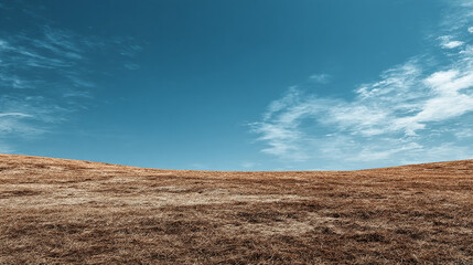 Expansive view of a golden meadow under a clear blue sky, evoking a sense of tranquility and freedom. The sky has wispy clouds.
