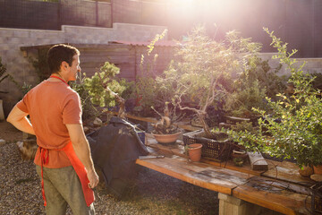 A man enjoys his favourite hobby, bonsai.