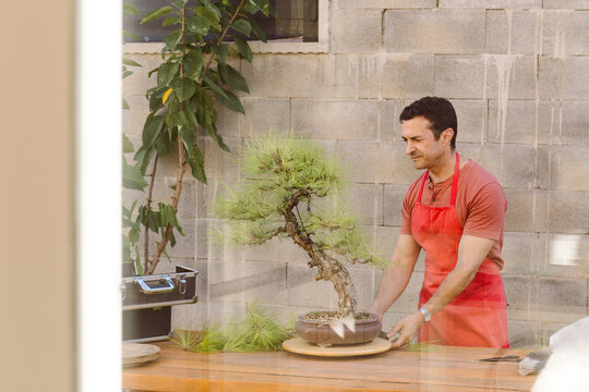 A man enjoys his favourite hobby, bonsai.
