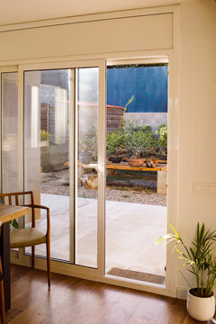 Collection of bonsai trees in the back garden. 