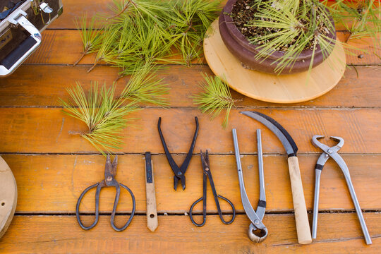 Tools for pruning bonsai trees