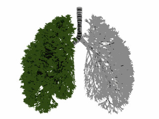 A visual comparison of healthy and damaged lungs represented by tree imagery