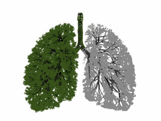 A visual representation of lungs depicted as trees one healthy and one distressed