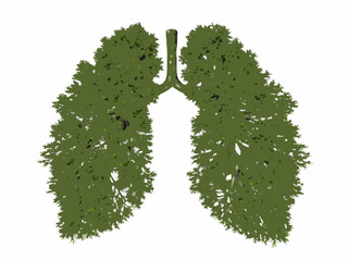 Lungs shaped like foliage a creative illustration of respiratory health and nature