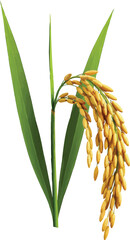 Curved Golden Rice Ear with Green Leaves