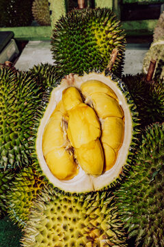 Fresh durian fruit on street market in Malaysia