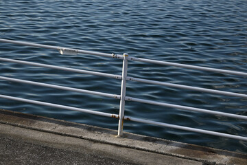 海辺　千葉ポートパーク