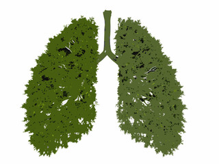 A conceptual illustration of lungs shaped like a lush green tree