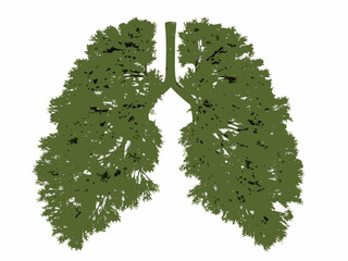 Lungs shaped like trees symbolizing breath and the environment s importance