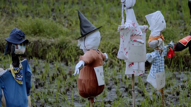 Close-up of handmade scarecrows decorated by children at Kodomo Shizen Park in Yokohama. Each scarecrow features unique costumes and designs, highlighting creativity, community participation.