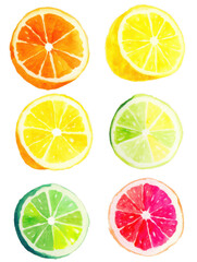 Fototapeta premium Vibrant Watercolor Citrus Fruit Slices