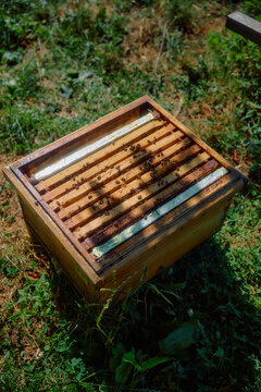 bees On A Wooden Beehive Frame In A Sunny Outdoor Garden Setting